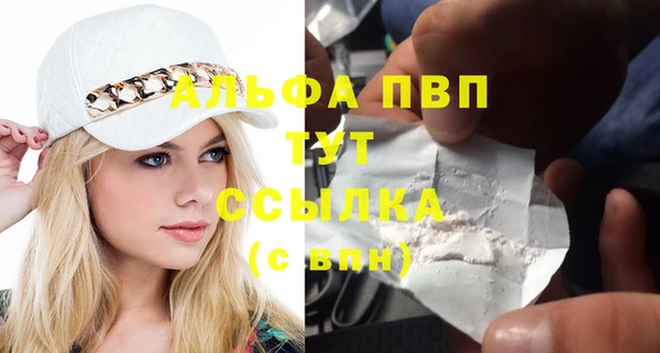 ешки Белокуриха