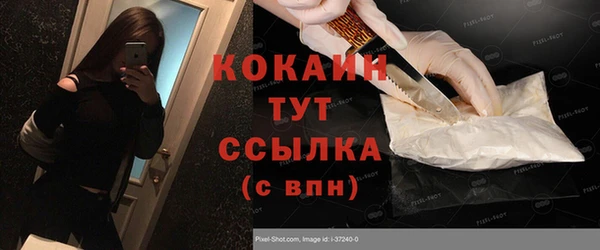 шишки Беломорск