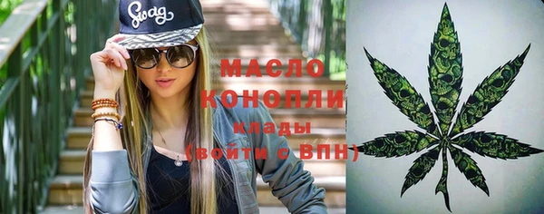шишки Беломорск