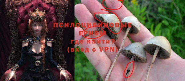 герыч Богородицк